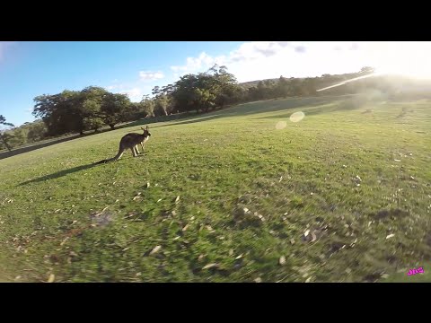 FPV - mates, tunes and lipos - UC_ln1TA-w4bahRI7yN0TcJA