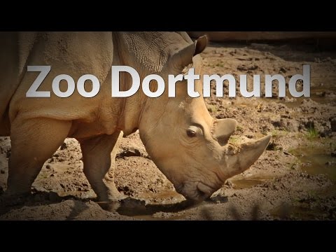 Zoo Dortmund - UCNWVhopT5VjgRdDspxW2IYQ