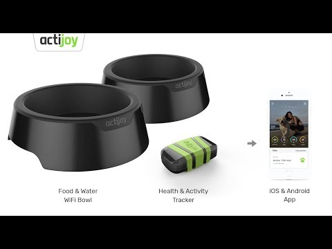 Actijoy connected devices for dogs - UCCjyq_K1Xwfg8Lndy7lKMpA