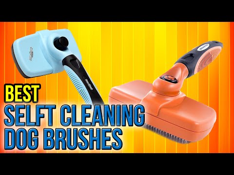 8 Best Self Cleaning Dog Brushes 2017 - UCXAHpX2xDhmjqtA-ANgsGmw