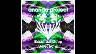 Ananda Project Feat. Heather Johnson - Let Love Fly (Unreleased Shane D Remix)