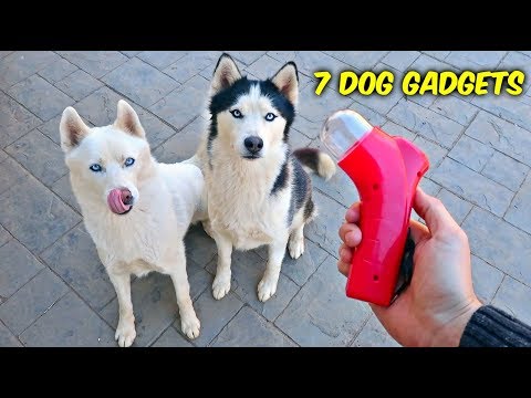 7 Dog Gadgets Put to the Test - Part 6 - UCe_vXdMrHHseZ_esYUskSBw