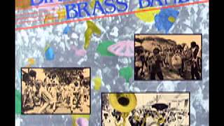 Dirty Dozen Brass Band  -  Blackbird Special