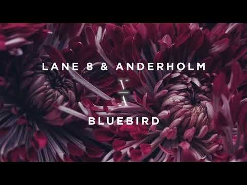 Lane 8 & Anderholm - Bluebird - UCozj7uHtfr48i6yX6vkJzsA