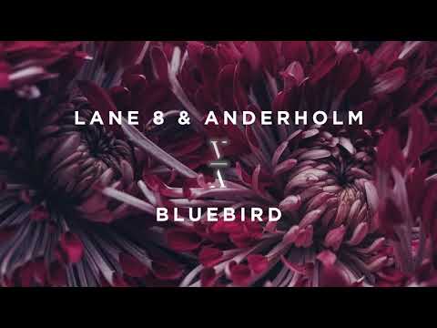Lane 8 & Anderholm - Bluebird - UCozj7uHtfr48i6yX6vkJzsA