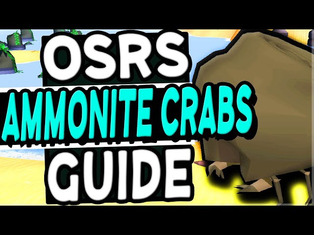 OSRS Ammonite Crabs Guide - How To Get There + Training Methods