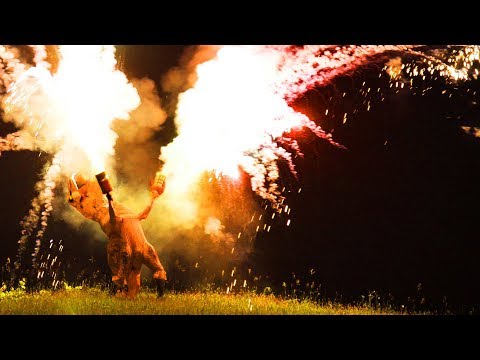 T REX ON THE 4TH OF JULY! (100+ ROMAN CANDLES AT ONCE) - UCjgpFI5dU-D1-kh9H1muoxQ