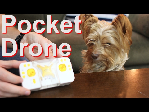 The Ultimate Pocket Drone - Lishi Toys L6058 - TheRcSaylors - UCYWhRC3xtD_acDIZdr53huA