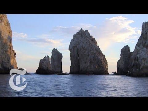 What to Do in Los Cabos, Mexico | 36 Hours Travel Videos | The New York Times - UCqnbDFdCpuN8CMEg0VuEBqA