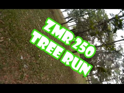 ZMR 250 - TREE RUN - UCXDPCm6CxZ3GzSrx2VDSMJw