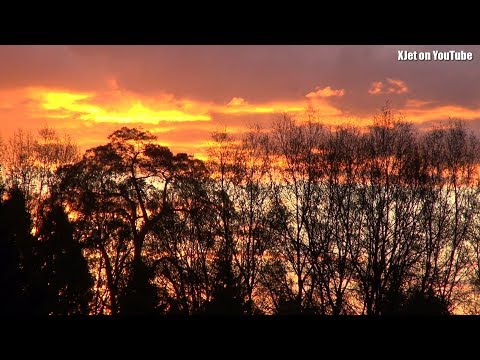 President Trump names his favorite drone flier and RC planes on a cold spring day - UCQ2sg7vS7JkxKwtZuFZzn-g