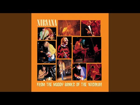 Milk It (Live In Seattle, WA., January 5, 1994)