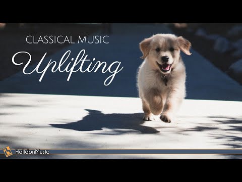 Happy Classical Music - Uplifting, Inspiring & Motivational Classical Music - UCyOfqgtsQaM3S-VZnsYnHjQ