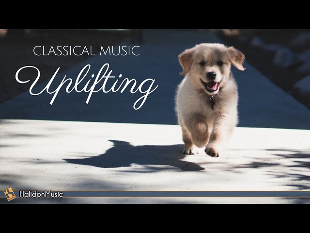 Classical Music for Veterans Day: The Best of the Best