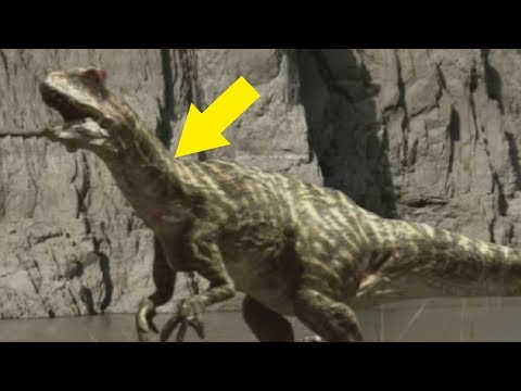 5 Dinosaurs That Are WAY Scarier Than You Think! - UCUVa51UA_690sEKyRbHb-5A