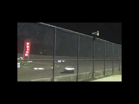 SportMod Amain @ Marshalltown Speedway 04/28/23 - dirt track racing video image
