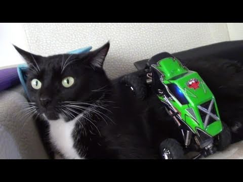 RedCat Sumo Crawler in Cat Crawling - UCsFctXdFnbeoKpLefdEloEQ