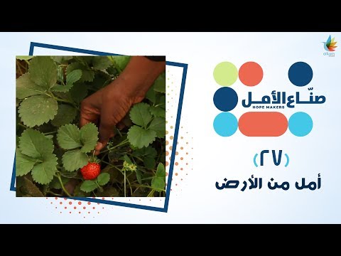 أمل من الأرض