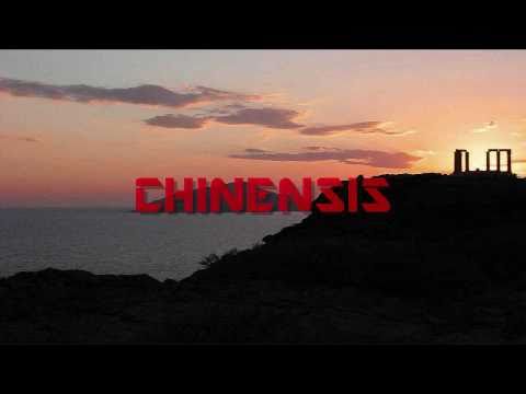 Chinensis- Worlds Apart (Liquid Drum & Bass) - UCWqte6LvFMt6FTjK0iI-p2w