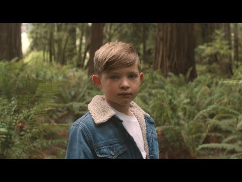Into The Wild - Josh Baldwin  Evidence [Official Music Video]