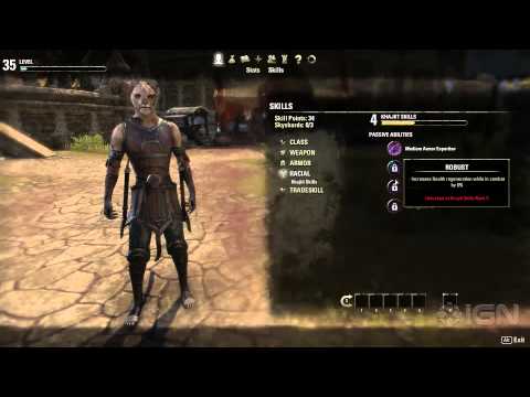 The Elder Scrolls Online - Character Progression Walkthrough - UCKy1dAqELo0zrOtPkf0eTMw