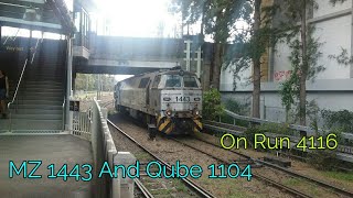 Vlog 162 MZ 1443 and Qube 1104 Lead 4116 | Carrington - Port Botany | Marrickville NSW