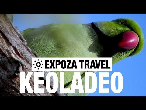 Keoladeo Vacation Travel Video Guide - UC3o_gaqvLoPSRVMc2GmkDrg