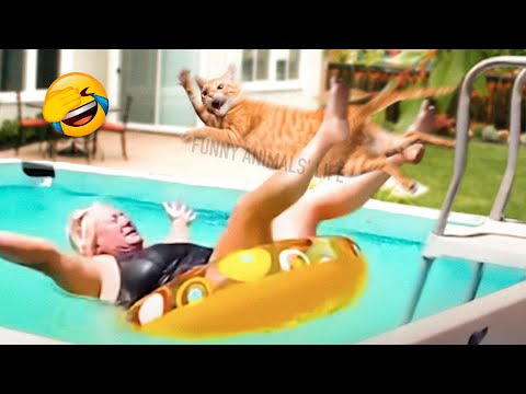 Best Funny Animal Videos 2022 😺 - Funniest Dogs And Cats Videos 😁😇 - UC09IvZwjpunzrdHH1EHok-w