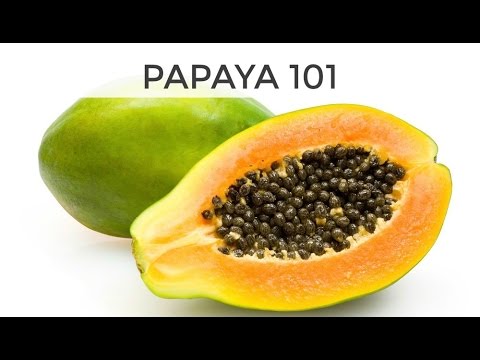 Papaya 101 | Everything You Need To Know - UCj0V0aG4LcdHmdPJ7aTtSCQ