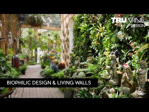 Architecture Spotlight #84 | Living Walls by TruVine Design | Delray Beach, FL