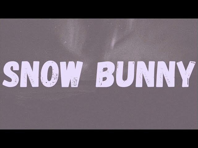 The Meaning Behind Snow Bunny Lyrics by NBA