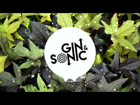 Chappell Roan - Good Luck, Babe! (Gin and Sonic Remix)