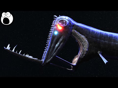 5 STRANGE Deep Sea Creatures - Part 1?