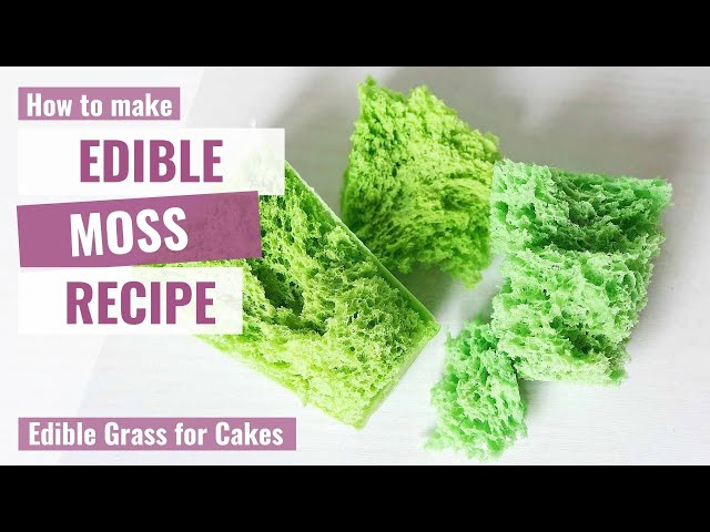 Is Moss Edible? - To Get Ideas