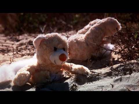 Naughty Bear: Panic in Paradise - Beach Massacre Trailer - UCbu2SsF-Or3Rsn3NxqODImw