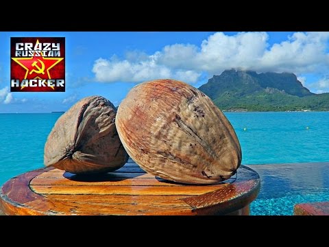 How to Husk and Open Coconut without Tools - UCe_vXdMrHHseZ_esYUskSBw