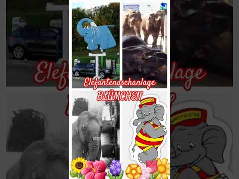 Elefantenwaschanlage BLÜMCHEN #spass #humor #wochenende #weekend #benjaminblümchen #shorts #short
