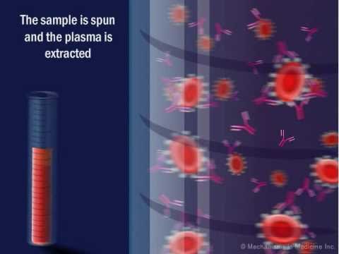 The Antiglobulin Tests - UCvl8mk9dKfhidf8oVhYkaOg