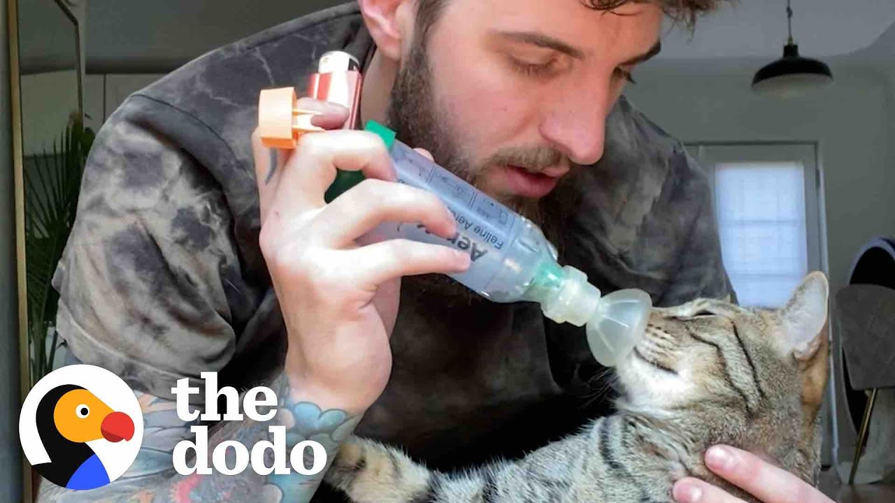 Cat With Asthma Has The Most Caring Dad | The Dodo