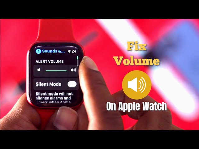Frequent Question: How To Control The Volume On Apple Watch