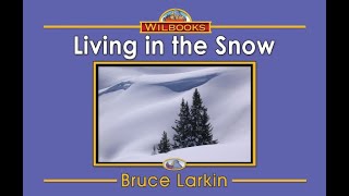 Living In The Snow 