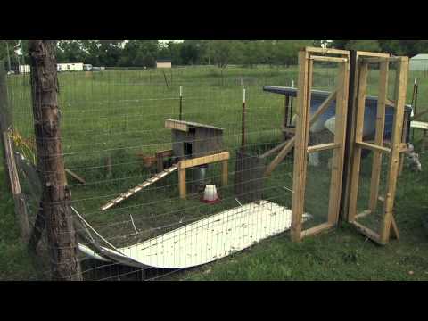 Raising Backyard Chickens - UCmxBsGrSE3sbCs3eXeoJViw