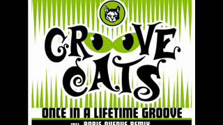 Groove Cats - Once In A Lifetime Groove