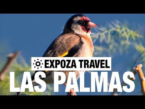 Las Palmas (Spain) Vacation Travel Video Guide - UC3o_gaqvLoPSRVMc2GmkDrg