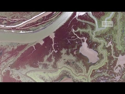 Το μαγευτικό Δέλτα του Αξιού από ψηλά | Axios River Delta Drone Greece - UCyly0SkVXoQ3nHbKj1QignA