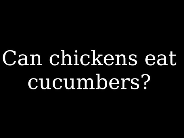 can-chickens-eat-cucumber-peels-hayfarmguy