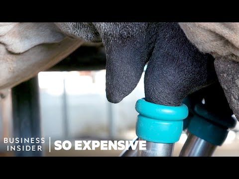 Why Camel Milk Is So Expensive | So Expensive - UCcyq283he07B7_KUX07mmtA