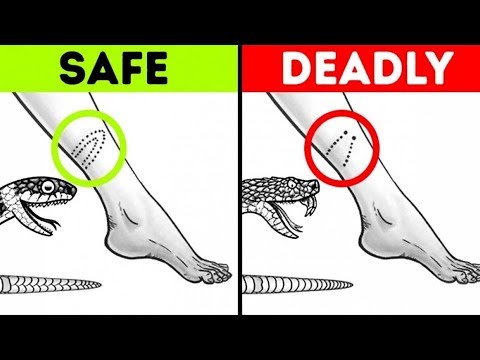 17 IMPORTANT SURVIVAL HACKS THAT CAN SAVE YOUR LIFE - UC295-Dw_tDNtZXFeAPAW6Aw