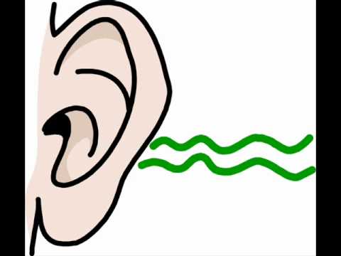 Hebrew with Dawoud lesson 37