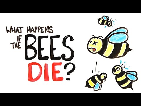 What Happens If All The Bees Die? - UCC552Sd-3nyi_tk2BudLUzA